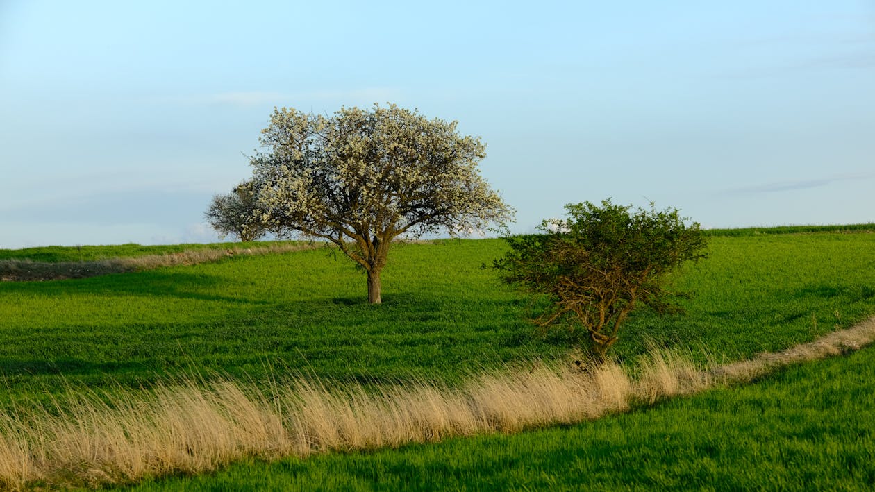 résilience